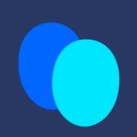Faceswapper Logo
